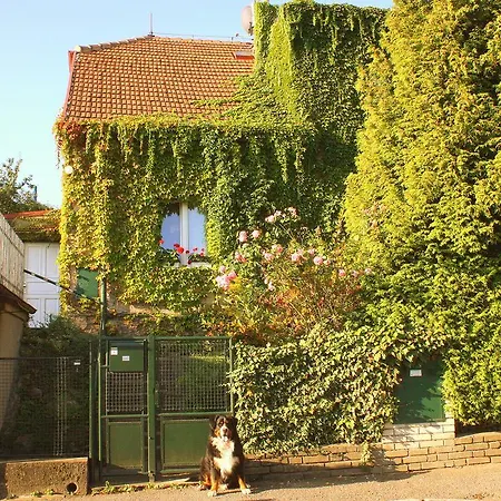 Ovocna Homestay