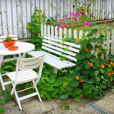 Ovocna Homestay Prague