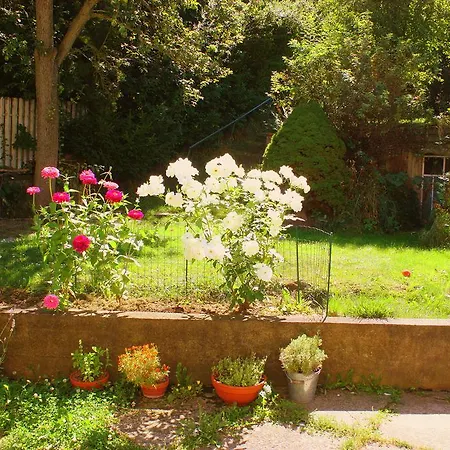 Homestay Ovocna